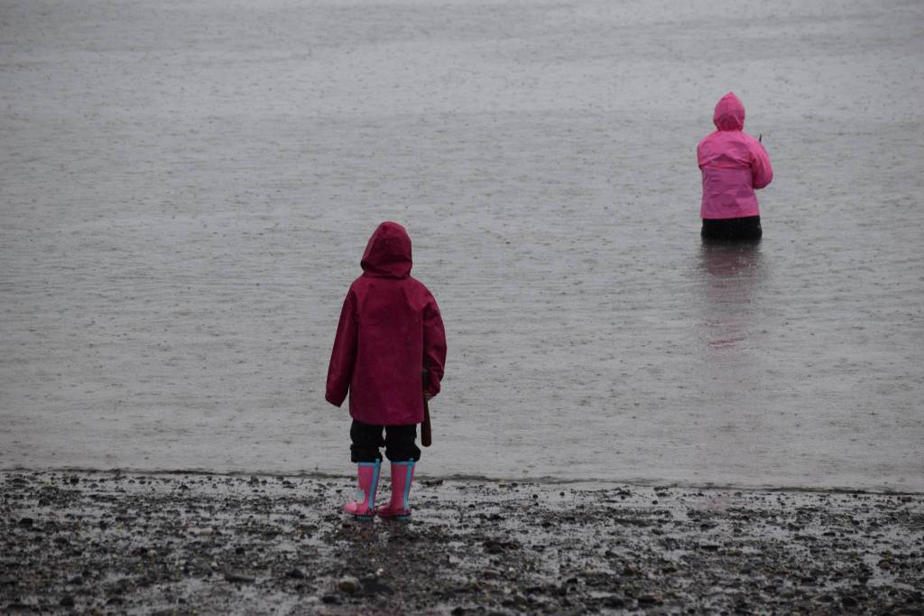 A dipnetter tries for fish at North Kenai Beach on Saturday, July 10, 2021. (Camille Botello/Peninsula Clarion)