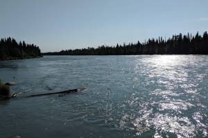 Photo by Erin Thompson/Peninsula Clarion 
The Kenai River can be seen from the Funny River Campground on Sunday, June 23, 2019, in Funny River, Alaska.