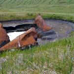 Some tanks were breached with explosives and the fuel set on fire, a method of eliminating fuel that was not very successful.