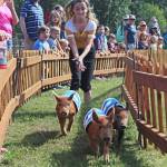 A young volunteer chases three piglets named Mary Hamkins, Petunia and Sir Oinks-a-lot through the race Kenai Peninsula Fairgrounds during the Kenai Peninsula Fair pig races on Friday, Aug. 16, 2019 in Ninilchik, Alaska. (Photo by Megan Pacer/Homer News)
