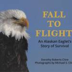 Image courtesy of Dorothy Roberts Cline 
The cover to Dorothy Roberts Clines book, Fall to Flight: An Alaskan Eaglets Story of Survival, uses a photo by the late Michael S. Cline.