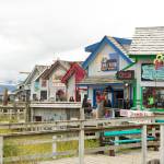 Visitors explore shops on the Homer Spit before the upcoming end of the season. (Photo by Sarah Knapp/Homer News)