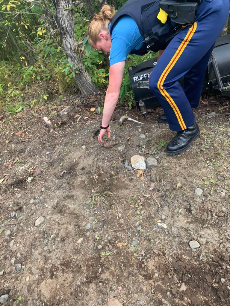 An Alaska State Trooper reaches for a grenade on Tuesday, Sept. 7, 2021 near Soldotna, Alaska. The grenade was found by 13-year-old Edith Watts on the family property in Ridgeway. Troopers and Joint Base Elmendorf-Richardsons Explosive Ordnance Disposal Company responded to the scene.(Photo by Edith Watts)