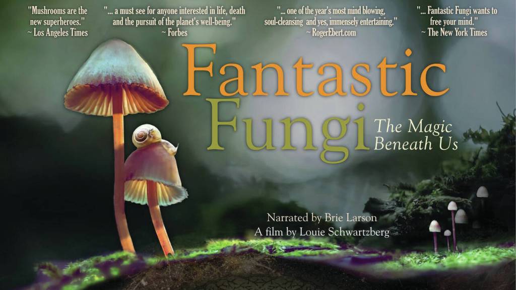 The poster for Fantastic Fungi, showing at the 17th annual Homer Documentary Film Festival. (Photo provided)