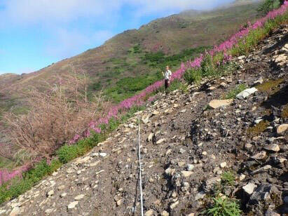 A visual picture of profound change in the alpine plant community post-2019 Swan Lake Fire. This picture is from 2021, two years after the fire. (Photo by Matt Bowser/USFWS)