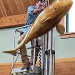 David Hall hangs a wood-carved whale in the Nikiski Senior Center on Sept. 23, 2021. (Photo courtesy of the Nikiski Senior Center)