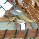 A wood-carved whale hangs in the Nikiski Senior Center on Sept. 23, 2021. (Photo courtesy of the Nikiski Senior Center)