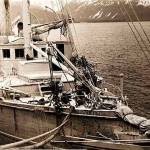 Photos from Alaska State Library photo collection 
In 1912, the S.S. Dora, covered in volcanic ash from the Katmai eruption, finally reached safe harbor and photographed by John E. Thwaites.