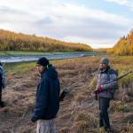 Hunters search a clearing for moose after another hunter took a shot and missed on Thursday, Sept. 16, 2021, near Stevens Village, Alaska. For the first time in memory, both king and chum salmon have dwindled to almost nothing and the state has banned salmon fishing on the Yukon. The remote communities that dot the river and live off its bounty are desperate and doubling down on moose and caribou hunts in the waning days of fall. (AP Photo/Nathan Howard)