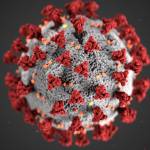 This illustration provided by the Centers for Disease Control and Prevention in January 2020 shows the 2019 Novel Coronavirus. (CDC)