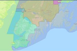 The 2021 Final Redistricting Map features newly drawn boundaries for Alaska State House races on the Kenai Peninsula. (akredistrict.org/Screenshot)