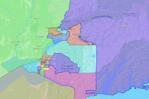 The Final Redistricting Map approved for the Anchorage and Matanuska-Susitna area is seen on Nov. 9, 2021. (Map via akredistrict.org)