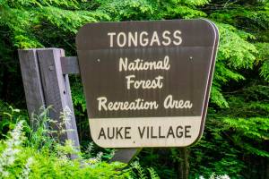 The Tongass National Forest sign stands near the Auke Village Recreation Area. (Michael Penn | Juneau Empire File)