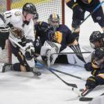 Kenai River Brown Bears forward Bryce Monrean tries to find a way through the defense of the Springfield (Illinois) Jr. Blues during a first-period power play Friday, Nov. 19, 2021, at the Soldotna Regional Sports Complex. (Photo by Jeff Helminiak/Peninsula Clarion)