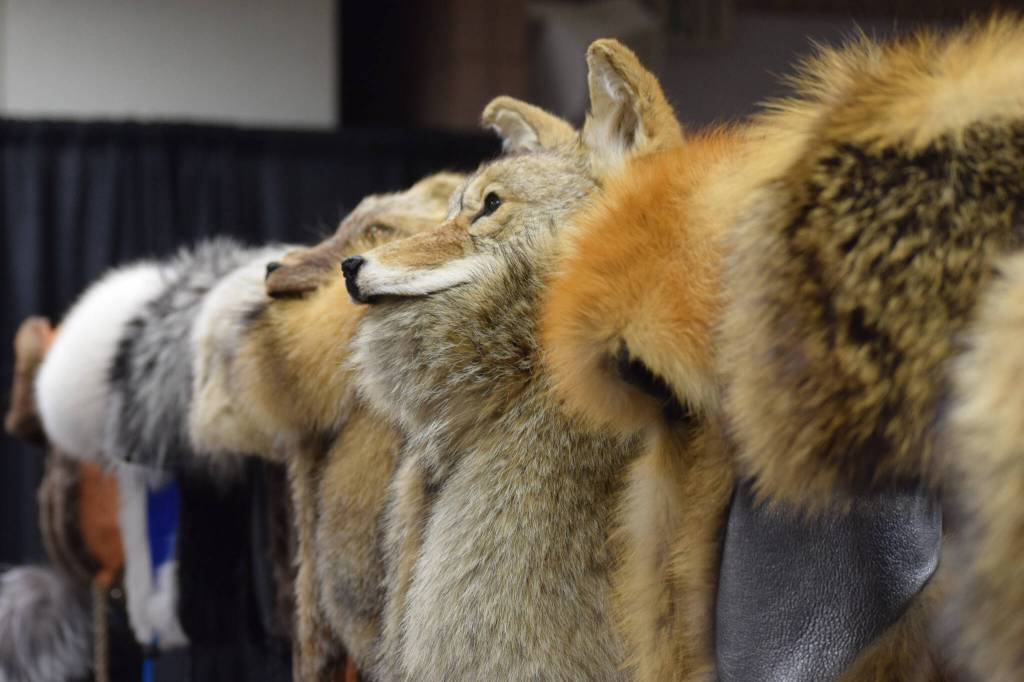 Amanda Alaniz sells fur products at the Soldotna Holiday Bazaar at the Soldotna Regional Sports Complex on Saturday, Nov. 20, 2021. (Camille Botello/Peninsula Clarion)