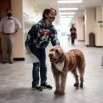 AP Photo/Charlie Riedel
A student pets Wilson, a therapy dog, in a hallway at French Middle School, Wednesday, Nov. 3, 2021, in Topeka, Kan. The dog is one of the tools designed to relieve stresses faced by students as they return to classrooms amid the ongoing pandemic. State health officials say nationwide trends in mental health issues are worse in Alaska.