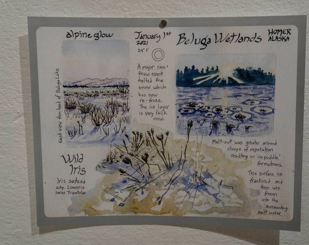 Kim McNett's exhibit at Bunnell Street Arts Center includes images from her nature journals. The show continues through Dec. 24, 2021, at the gallery in Homer, Alaska. (Photo by Michael Armstrong/Homer News)