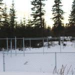 Fencing marks the boundaries of a planned dog park in Kenai near Daubenspeck Park on Monday, Dec. 27, 2021 in Kenai, Alaska. (Ashlyn OHara/Peninsula Clarion)