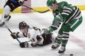 Brown Bears forward Cole Dubicki and Chippewa (Wisconsin) Steel forward Ethan Benz tangle for the puck Thursday, Oct. 21, 2021, at the Soldotna Regional Sports Complex. (Photo by Jeff Helminiak/Peninsula Clarion)