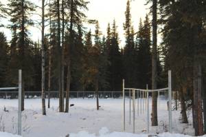Fencing marks the boundaries of a planned dog park near Daubenspeck Park on Monday, Dec. 27, 2021 in Kenai, Alaska. (Ashlyn OHara/Peninsula Clarion)