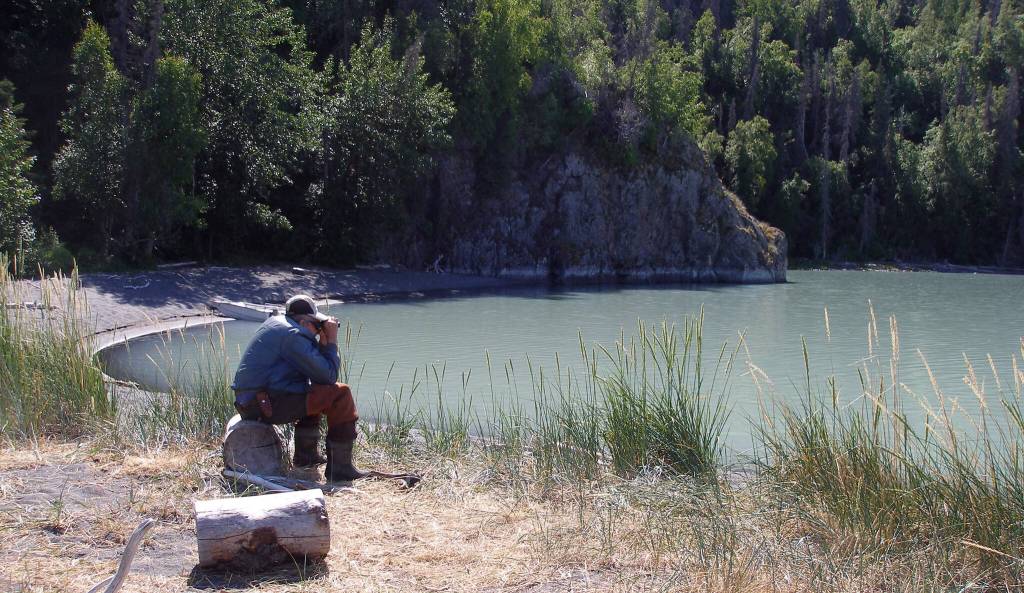 In this 2007 photograph taken on the former site of Cliff House, longtime area resident George Pollard uses binoculars to watch brown bears feed on salmon in Clear Creek. Pollard remembered watching bears from inside Cliff House for many years. (Clark Fair photo)