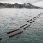 The U.S. Department of Agriculture announced this month a $500,000 grant to regional development corporation Southeast Conference to help design a processing facility on Prince of Wales Island to aid the mariculture industry there. The planned facility will help small mariculture farms, like this oyster farm north of Juneau seen in a February 2019 file photo, to process and ship their products. (Michael Penn / Juneau Empire file)