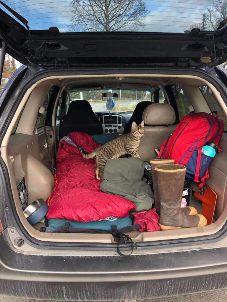 Benito goes car camping on May 14, 2021. (Camille Botello)