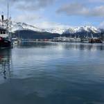 The Seward Boat Harbor can be seen on Sept. 24, 2021, in Seward, Alaska. (Photo by Erin Thompson/Peninsula Clarion)