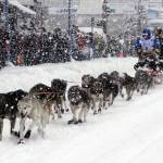 Four-time winner Jeff King takes his sled dog team through a snowstorm in downtown Anchorage, Alaska, on Saturday, March 4, 2022, during the ceremonial start of the Iditarod Trail Sled Dog Race. (AP Photo/Mark Thiessen)
