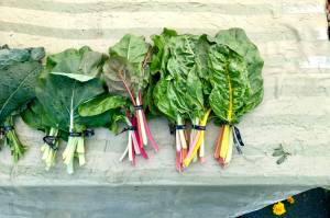 Bunches of fresh greens are displayed at the first Farmers Fresh Market of the season on Tuesday, June 11, 2019, at the Kenai Peninsula Food Bank near Soldotna, Alaska. (Photo by Victoria Petersen/Peninsula Clarion file)