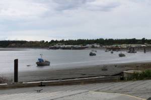 Boats are moored near the Kenai boat launch in Cook Inlet on Friday, June 18, 2021, in Kenai, Alaska. (Ashlyn OHara/Peninsula Clarion)