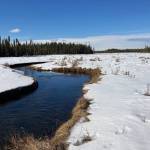 The west fork of the Moose River in the Kenai National Wildlife Refuge, March 23, 2022. (Photo by Jeff Helminiak/Peninsula Clarion)