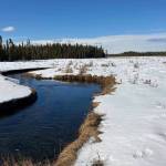 The west fork of the Moose River in the Kenai National Wildlife Refuge, March 23, 2022. (Photo by Jeff Helminiak/Peninsula Clarion)