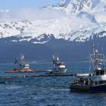A fishing vessel fleet off the coast of Seward, Alaska, participates in oil spill response training hosted by the Prince William Sound Regional Citizens Advisory Council (RCAC), along with members of the Alyeska Pipeline Service Company, on Thursday, April 14, 2022. (Camille Botello/Peninsula Clarion)