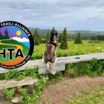The logo of the Homer Trails Alliance.
