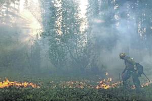 A member of the Gannet Glacier Type 2 Initial Attack Crew uses a drip torch during a burnout operation at the Swan Lake Fire on June 18, 2019. (Photo courtesy Alaska Division of Forestry)