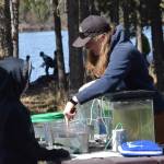 Kaitlynn Cafferty, a habitat biologist with the Alaska Department of Fish and Game, teaches kids about fish species at the 21st annual Kenai Peninsula Salmon Celebration in Kasilof on Wednesday, May 11, 2022. (Camille Botello/Peninsula Clarion)