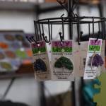 My Alaskan Gifts is seen at the Kenai Municipal Airport on Wednesday, May 11, 2022. (Camille Botello/Peninsula Clarion)