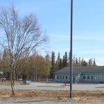 One tree stands in front of the Kenai Post Office on Thursday, May 12, 2022, in Kenai, Alaska. (Ashlyn OHara/Peninsula Clarion)