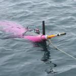 This May 4, 2022, photo shows an underwater glider bobbing in the Gulf of Alaska. The glider was fitted with special sensors to study ocean acidification. (AP Photo/Mark Thiessen)