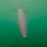 This April 28, 2022, photo provided by Andrew McDonnell shows an underwater glider in the Gulf of Alaska. The glider was fitted with a special sensor that will collect an enormous amount of data to study ocean acidification. (Andrew McDonnell via AP)