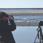 Teresa Becher watches as beluga whales swim up the Kenai River on April 24, 2021. Becher is a volunteer citizen scientist coordinator with the Alaska Beluga Monitoring Partnership, which observes beluga migration in Cook Inlet. (Photo by Camille Botello/Peninsula Clarion)