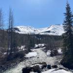 Mills Creek, May 11, 2022. (Photo by Jeff Helminiak/Peninsula Clarion)