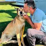 In this photo provided by Regal Air, musher Sebastien Dos Santos Borges, of France, and sled dog Leon arrive in Anchorage, Alaska, Saturday, June 4, 2022, after being reunited. The Iditarod Trail Committee says Leon went missing in March during the nearly 1,000-mile race across Alaska before being found three months later after covering nearly 150 miles. Leon was expected to see a veterinarian in the coming days and needs a health certificate before he can fly back to France, Iditarod spokesperson Shannon Markley said. (Rebecca Clark/Regal Air via AP)