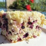 Blueberry buckle conjures warm memories of family. (Photo by Tressa Dale/Peninsula Clarion)