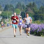 Silas Firth, left, Emily Knight, center, and Craig Albers, right, run past lupines in the 2022 Homer Spit Run 10k and Half Marathon on Saturday, June 25, 2022, in Homer, Alaska. (Photo by Michael Armstrong/Homer News)