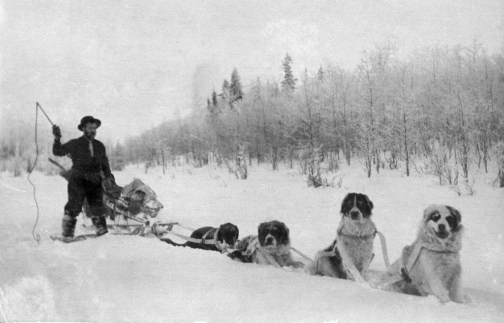 Photo courtesy of the Viani Family Collection 
This image is likely of Frenchy with a team of sled dogs, probably in the Kenai area in the late 1890s or early 1900s.