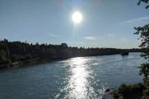 The sun is seen shining above the Kenai River in Soldotna, Alaska, on July 14, 2020. (Photo by Erin Thompson/Peninsula Clario file)