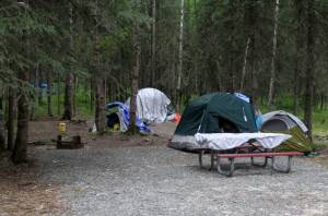 Tents are shown Wednesday, July 6, 2022, inside Centennial Park in Anchorage, Alaska. State wildlife officials have killed four black bears in a campground recently set aside for the citys homeless population after Anchorages largest shelter was closed. (AP Photo/Mark Thiessen)