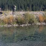 Flathead Lake Biological Station researchers Erin Sexton (right) and Chris Sergeant watch spawning salmon in a groundwater channel of the mine-impacted Tulsequah River in British Columbia. (Photo by Jonathan Moore, Simon Fraser University)